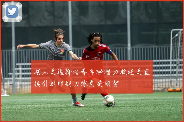 湖人是选择培养年轻潜力股还是直接引进即战力球员更明智