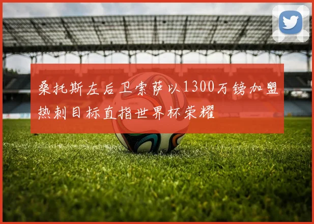 桑托斯左后卫索萨以1300万镑加盟热刺目标直指世界杯荣耀